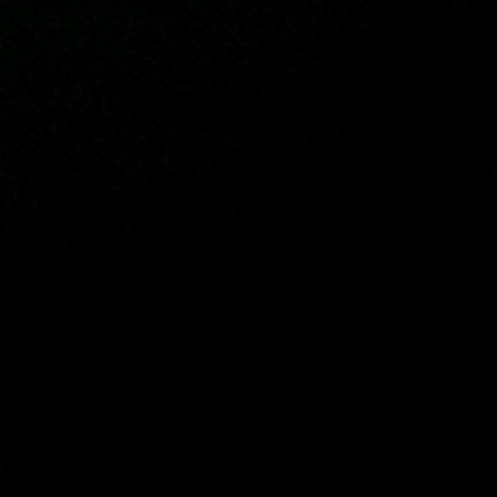 Meet your Posher, Gabbie